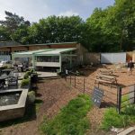 ferma anglia explozie