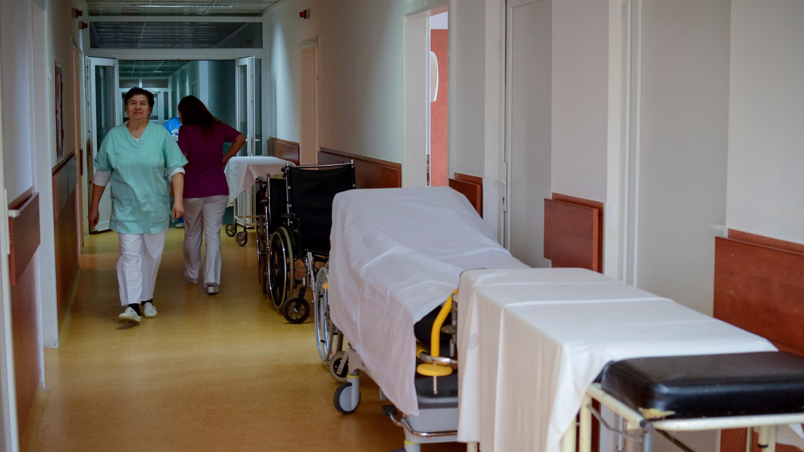 fotojet 2026 02 10t150650092 1 scaled