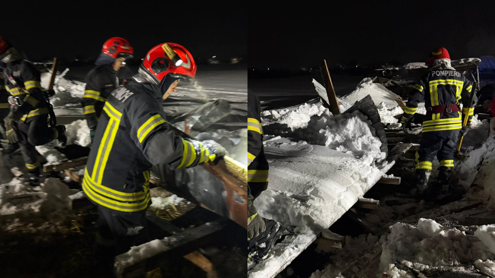 Un saivan cu aproximativ 400 de oi și capre s-a prăbușit în comuna Albești-Paleologu din cauza zăpezii 1 saivan prabusit11