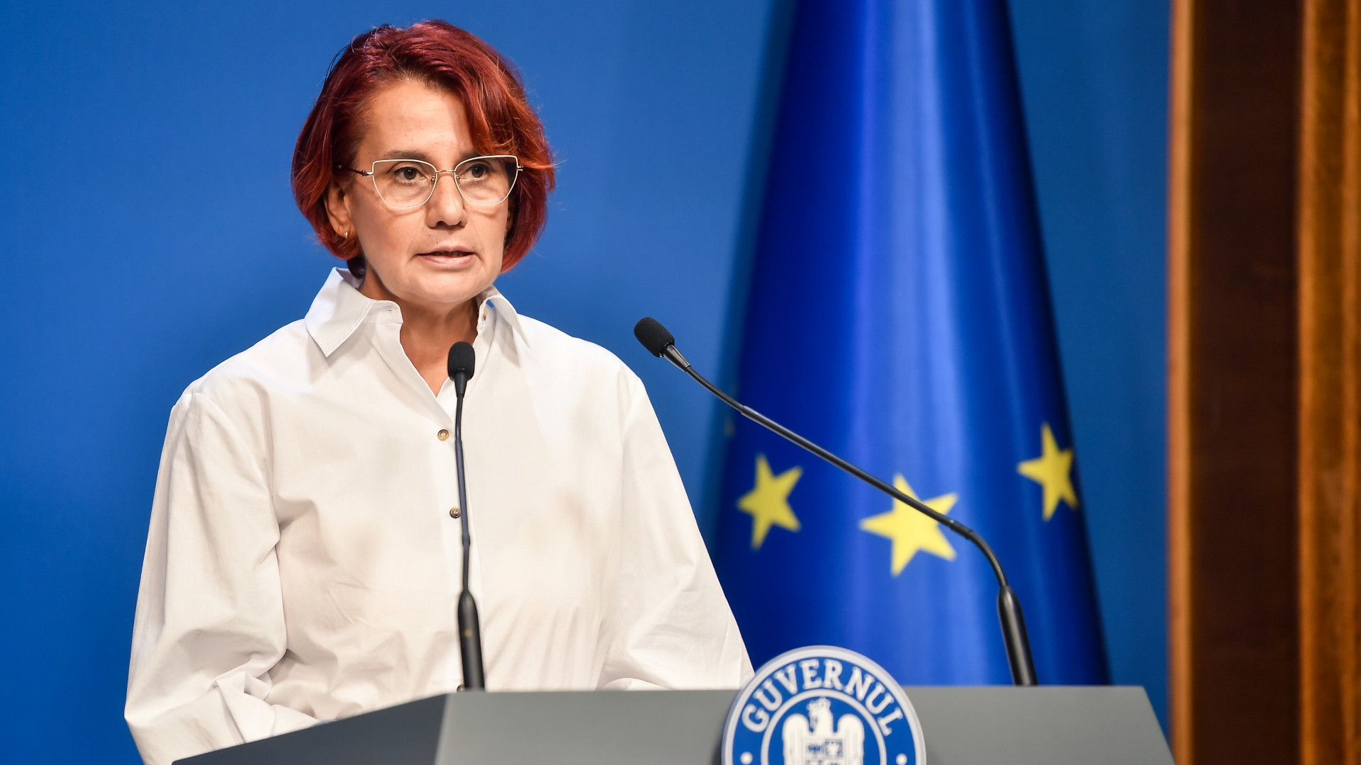 Guvernul României aprobă semnarea Acordului de parteneriat între UE și Mercosur 1 ioana dogioiu agerpres