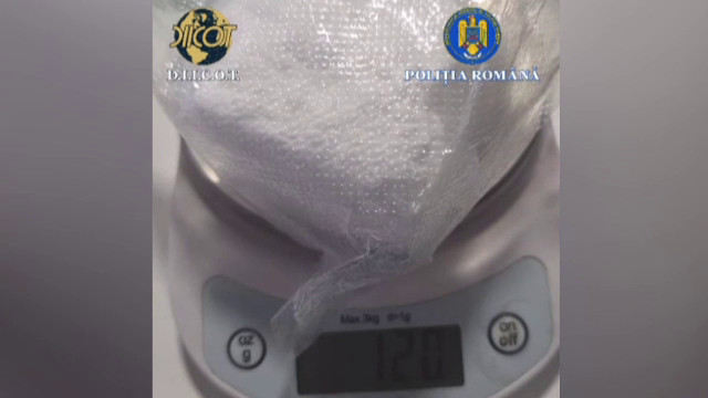 Trei bărbați din Craiova prinși cu droguri în timpul unei percheziții, substanțele aruncate în grădină printre zambile 1 vlcsnap 2026 03 20 12h43m49s680