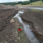 seceta canicula caldura