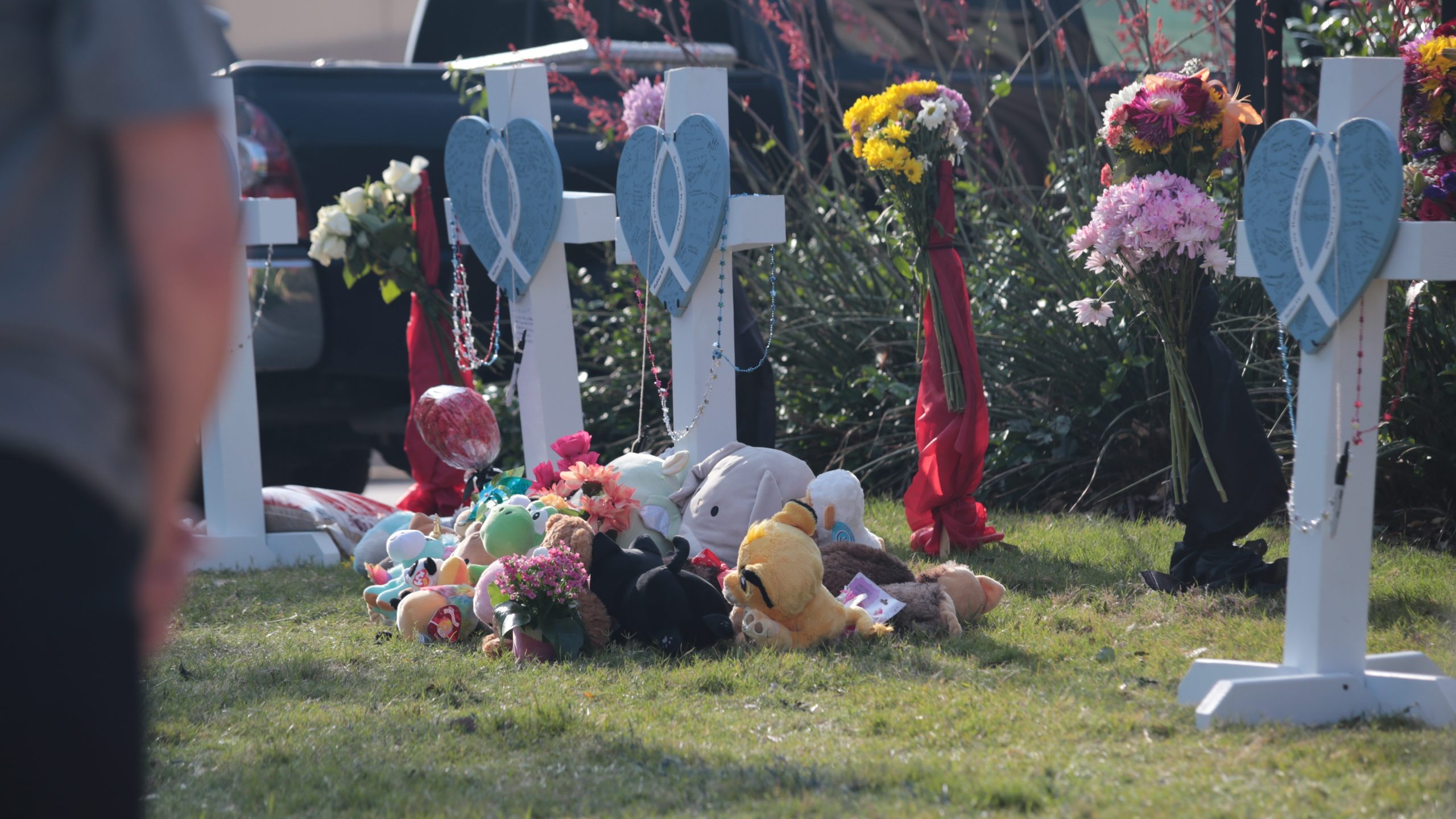 shutterstock 2305856413 scaled