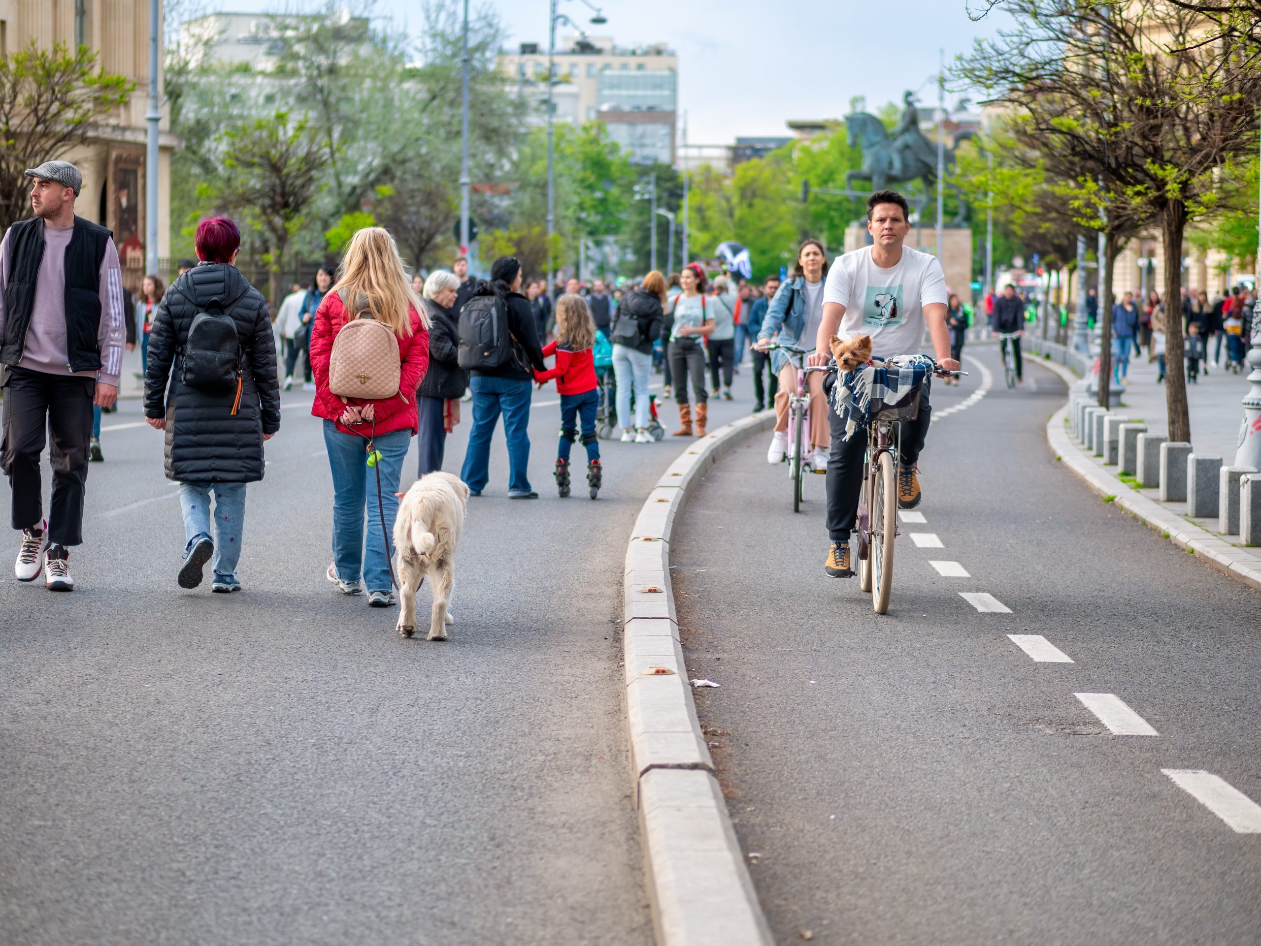 calea victoriei oameni pe strada scaled