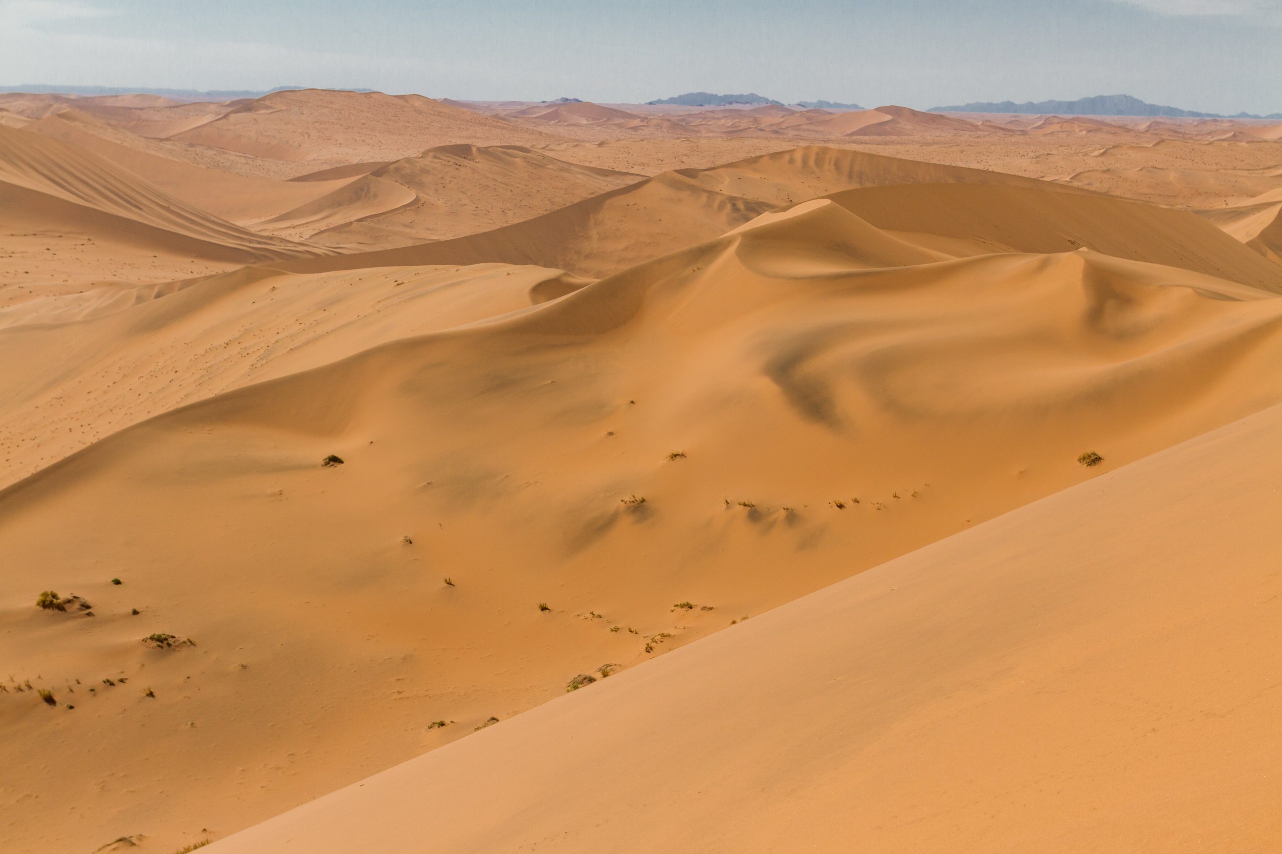 shutterstock 692486770 scaled