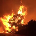 incendiu spania