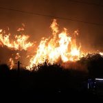 incendiu vegetatie sicilia