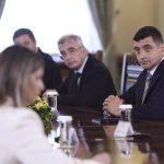 nicusor dan aur consultari 2