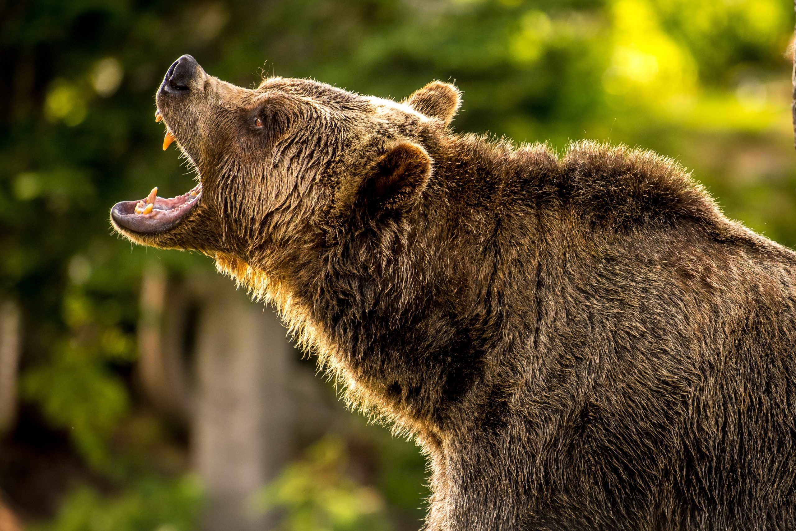 shutterstock 1467161750 scaled