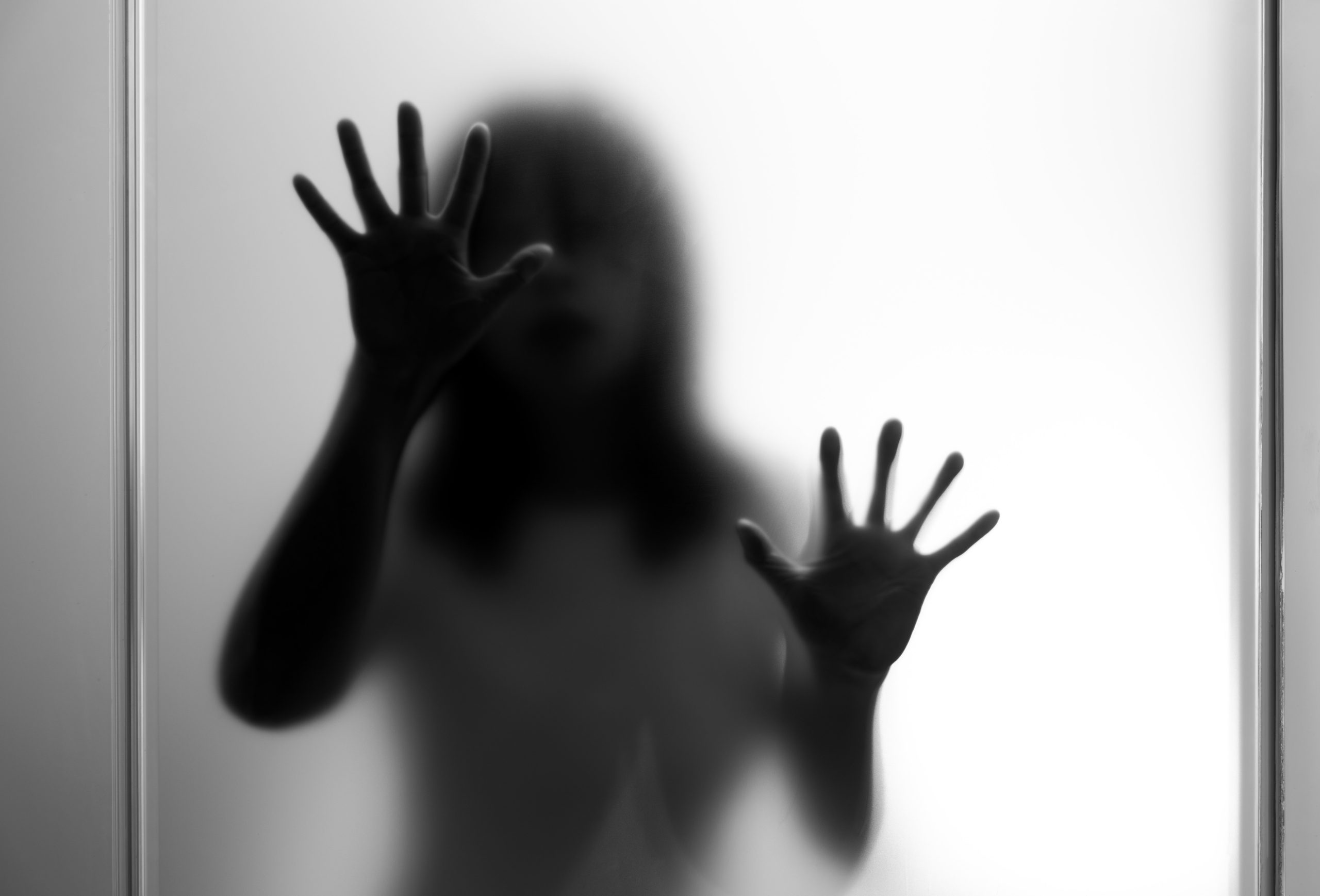 shutterstock 2432205345 scaled