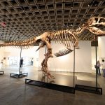t rex gus2