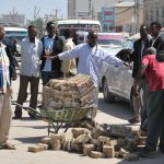bani somalia