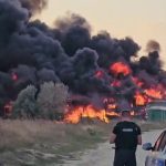 foc mamaia