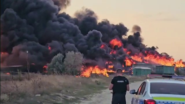 foc mamaia