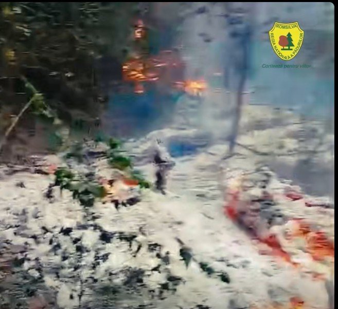 incendiu tulcea posibila drona romsilva