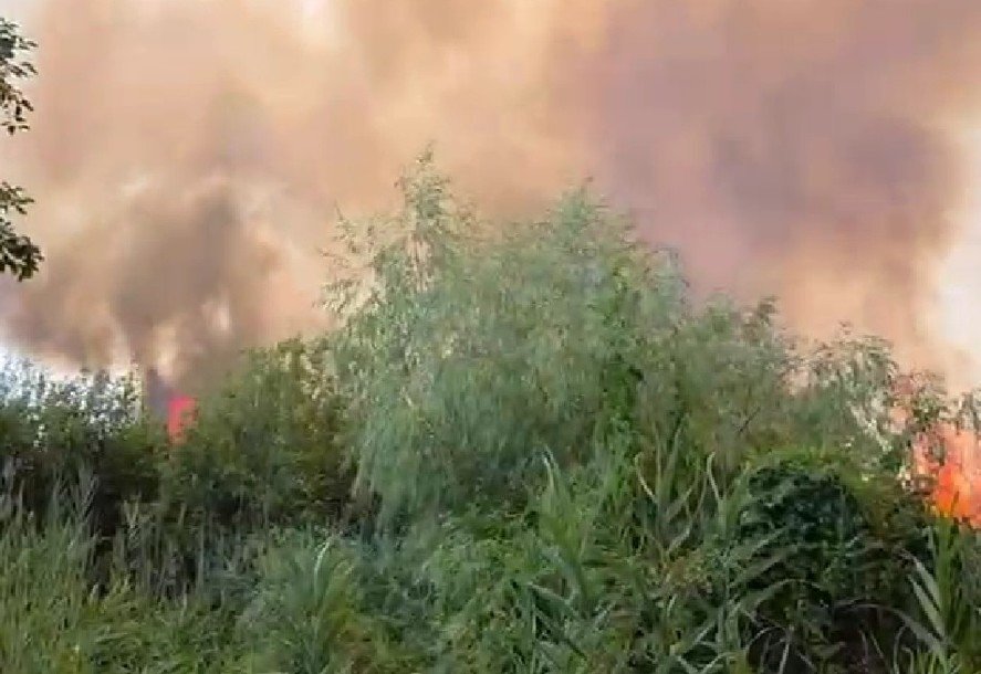 incendiu vefetatie delta dunarii