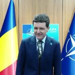 nicusor declaratii 080726