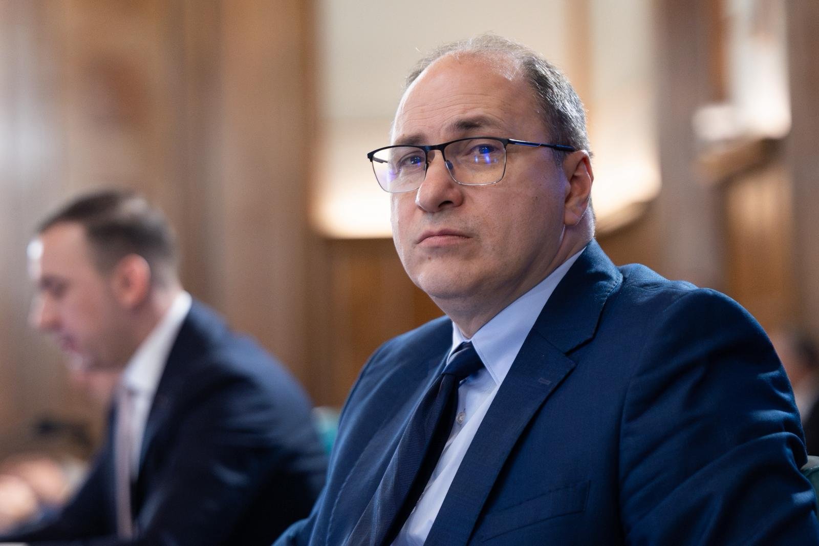 mihai dimian