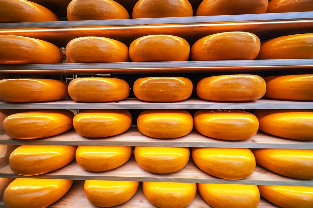 gouda